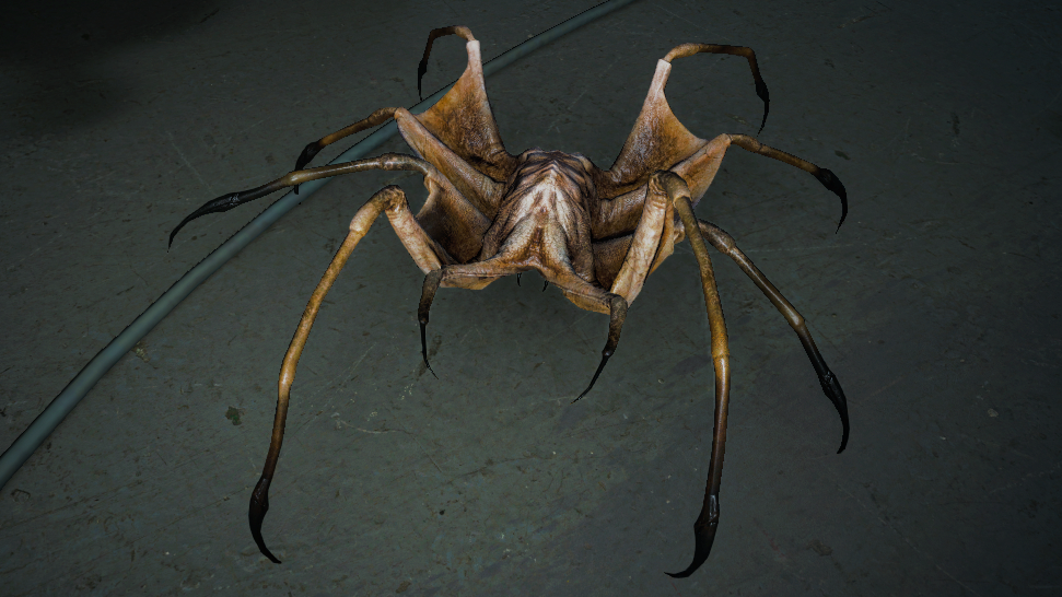 Sea Spider